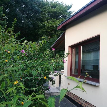 Ferienhaus Am Wald Loissin Exteriér fotografie