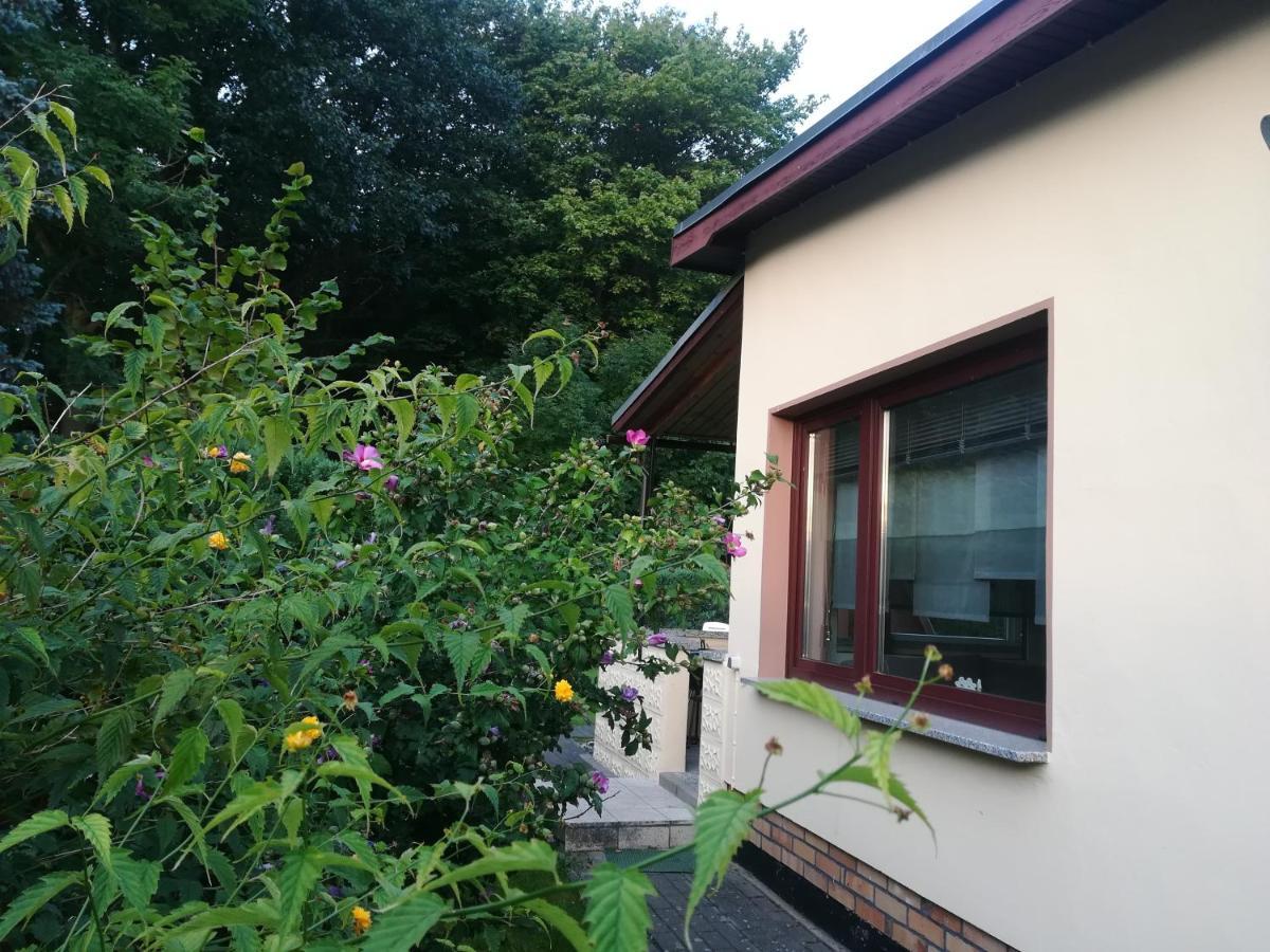 Ferienhaus Am Wald Loissin Exteriér fotografie